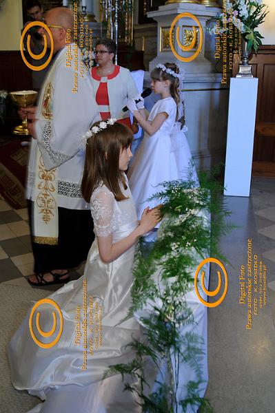 DSC_1585.jpg